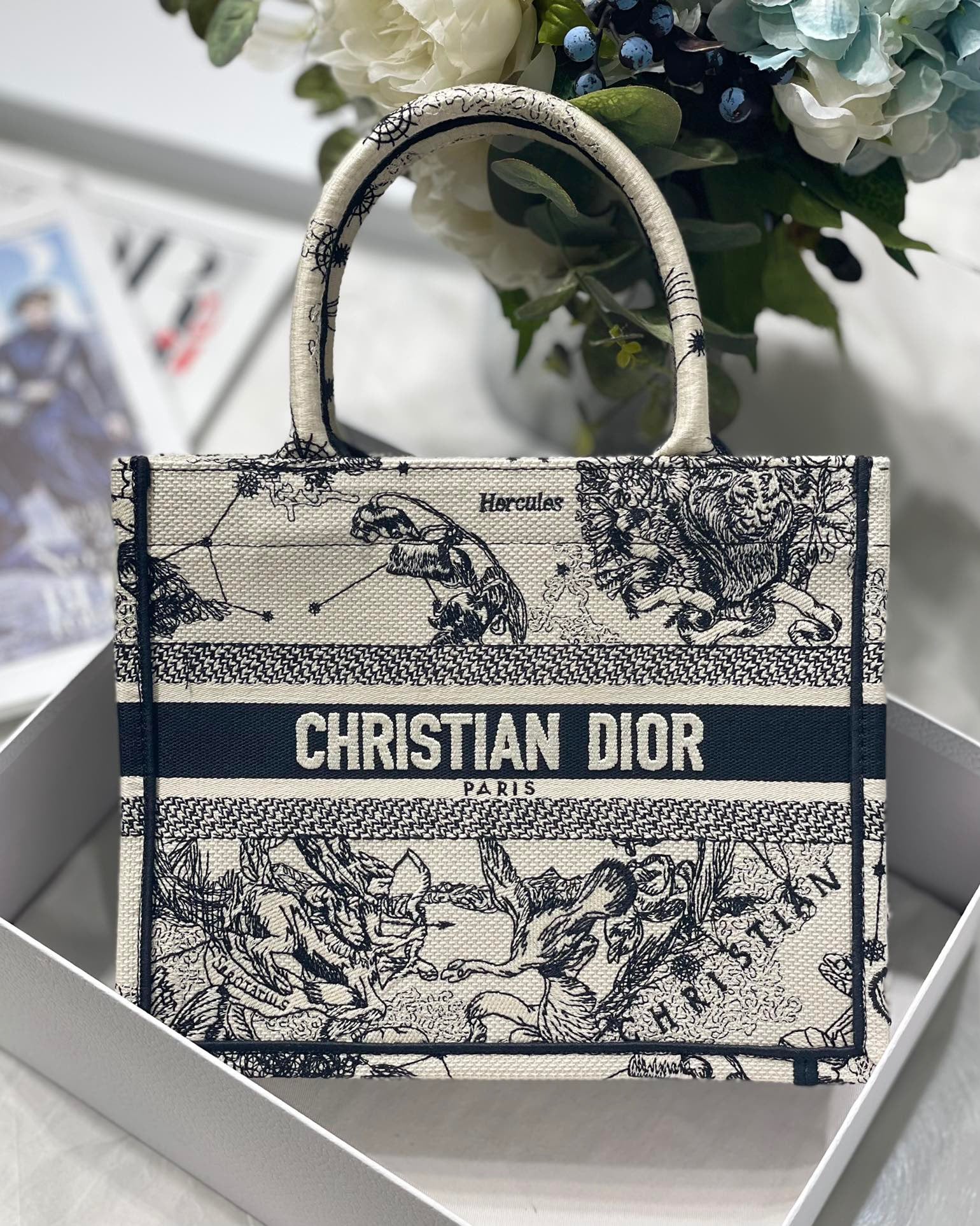 DIOR1.1_c1013805-3c5e-4ce1-81ee-cc77736e1a18.jpg